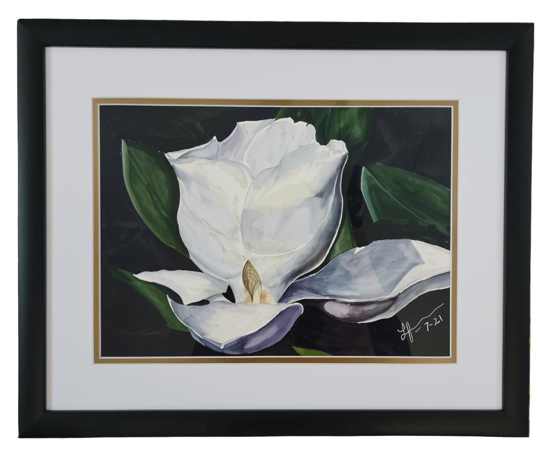 Watercolor of a white magnolia blossom with dark green leaves on black by Lynda Feierabend