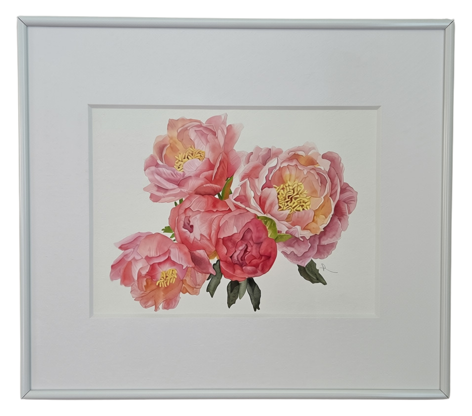 Framed watercolor of a bouquet of pink and coral peonies by Roxanne Langley