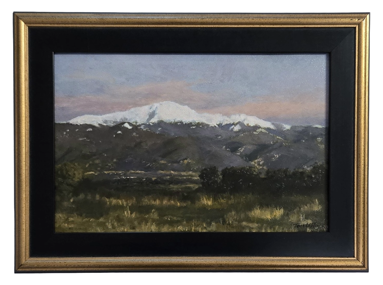 Oil painting of snow-capped Pikes Peak at dawn over dark foothills and golden grass by Tom LaRock